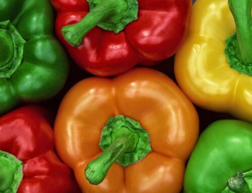 Green, red and yellow: the taste of the peppers in our recipes