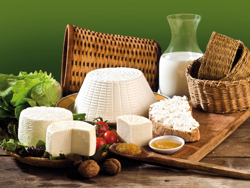 The triumph of cheeses wellness